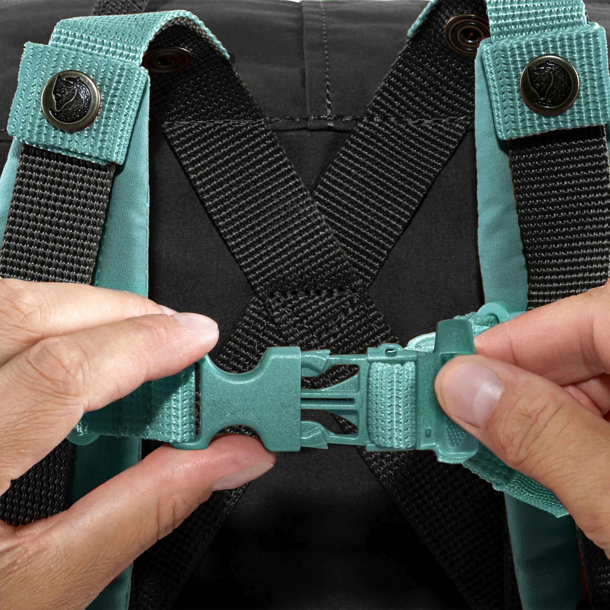 KanKan Chest Strap 