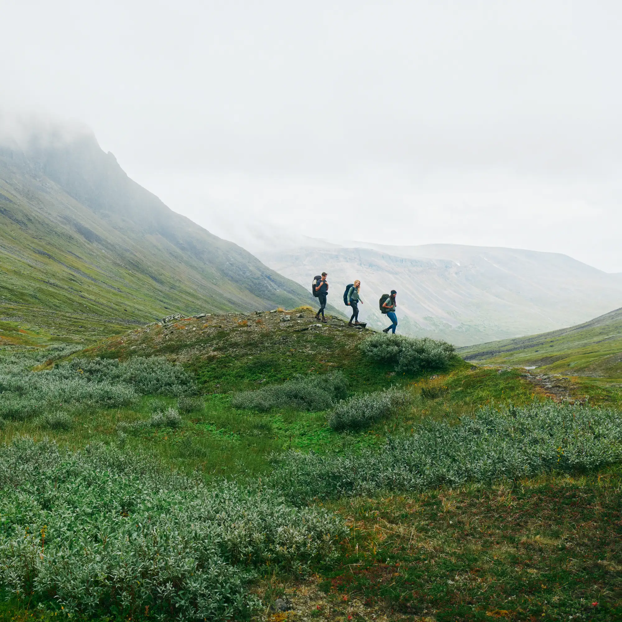 6630-abisko-wool-ss-w–1.jpg